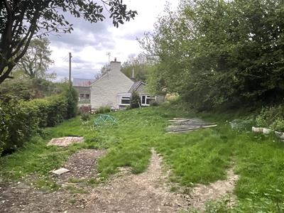 Picture 28
